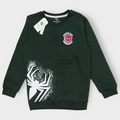 Spider-Man Graphic Sweatshirt