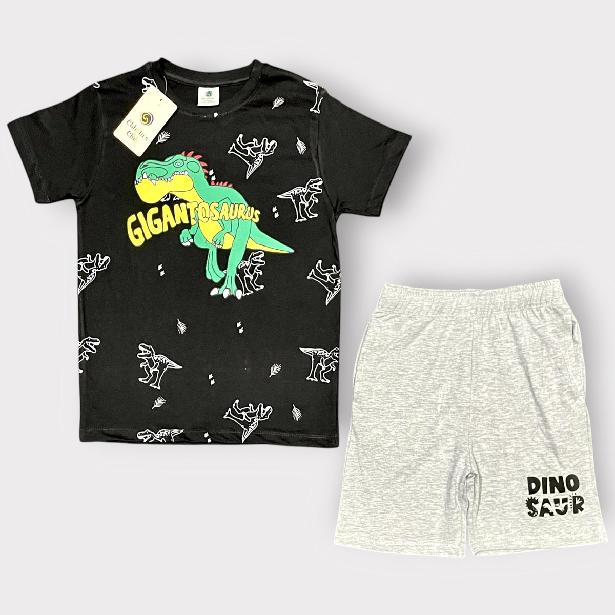 Gigantosaurus Kids T-Shirt & Shorts Set