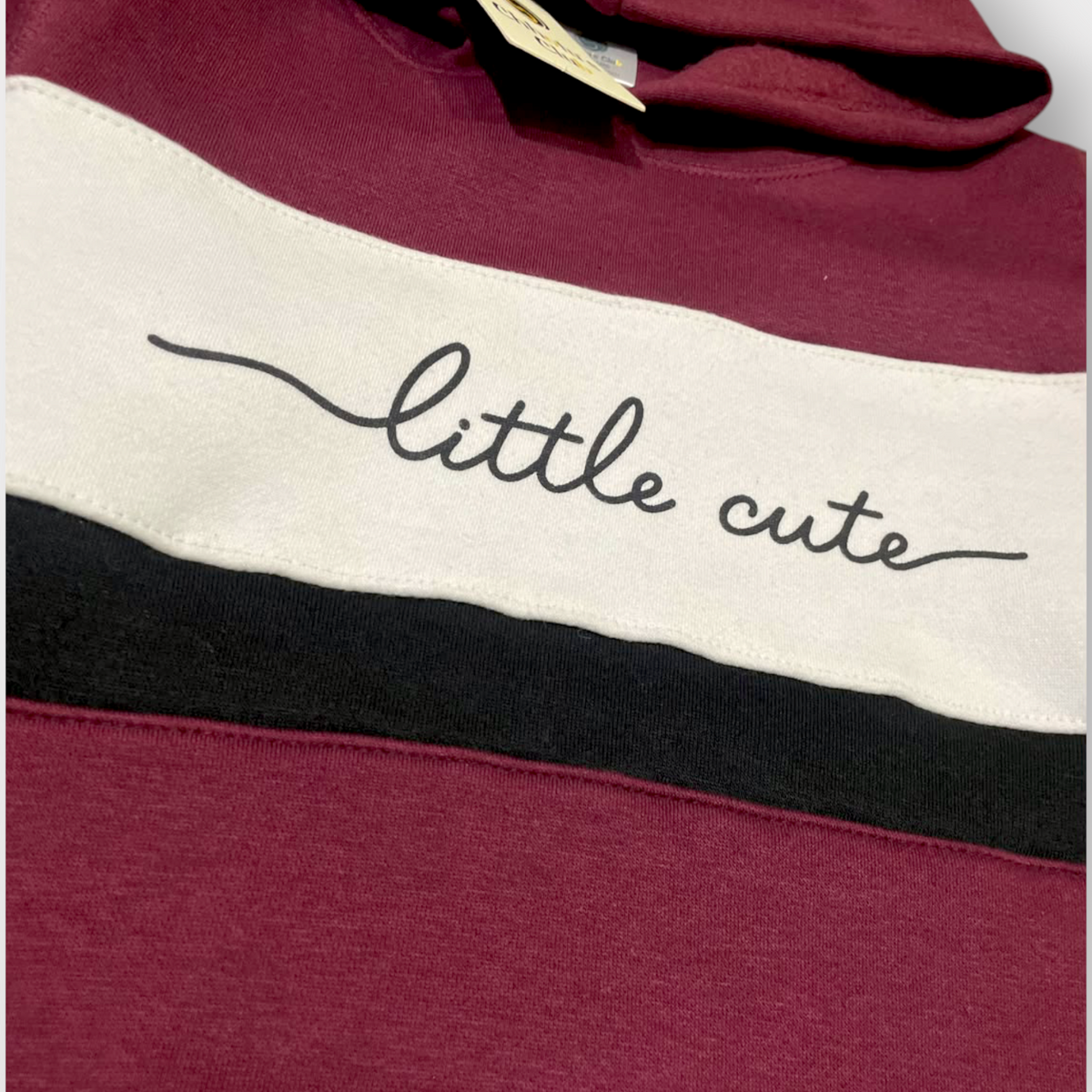 Kids Little Cute Hoodie Tracksuit Set